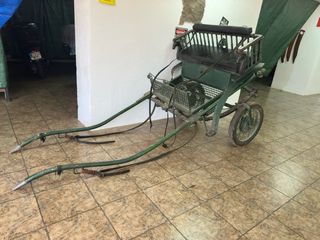 Coche de caballo verde con arneses