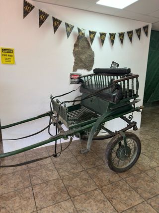 Coche de caballo verde con arneses