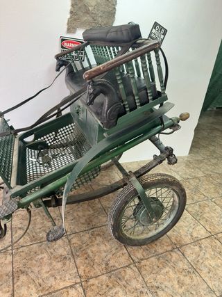 Coche de caballo verde con arneses