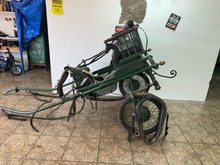 Coche de caballo verde con arneses