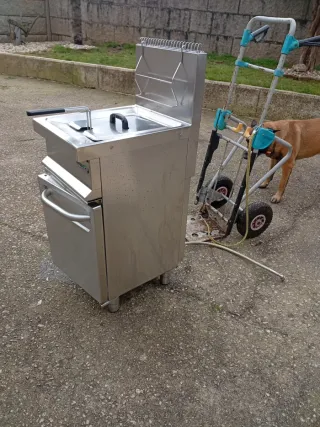 Freidora Profesional Repagas