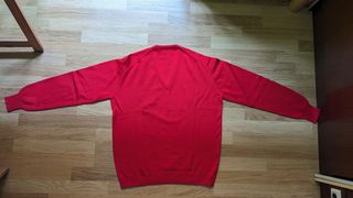 Jersey Pangolin cuello en pico - pura Lana Virgen