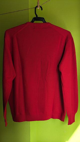 Jersey Pangolin cuello en pico - pura Lana Virgen