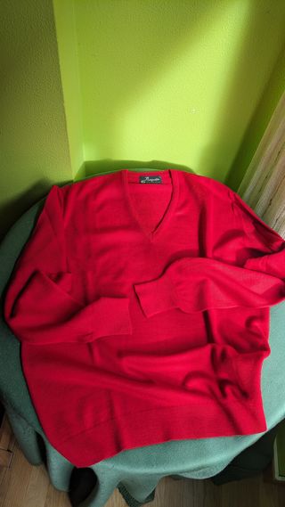 Jersey Pangolin cuello en pico - pura Lana Virgen