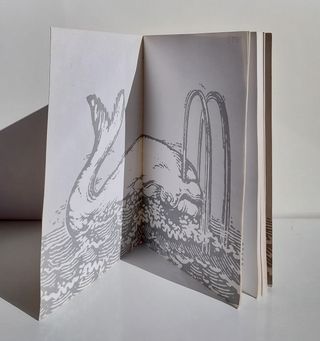 Wilson Cabezaloca (La Bellena Blanca)