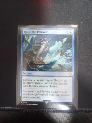 Raise the Palisade R 0023
