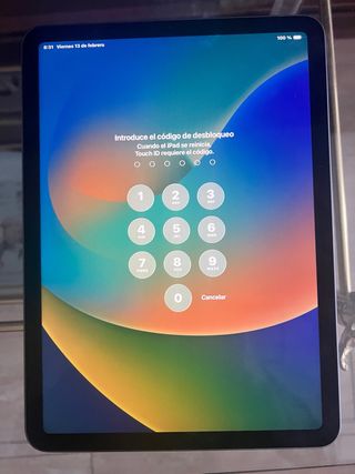 iPad Air 4ª Gen (senza scatola e caricatore)