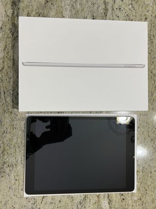 iPad 10.2 9ª Gen 256GB Plata