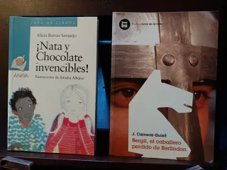 Lote 5 libros juvenil; Matilda, Terry Pratchett...