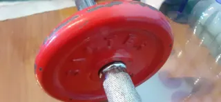 Barra con 2 discos SALTER 2kg