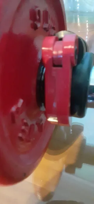 Barra con 2 discos SALTER 2kg