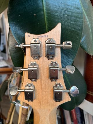 Paul Reed Smith Fiore Guitarra Eléctrica