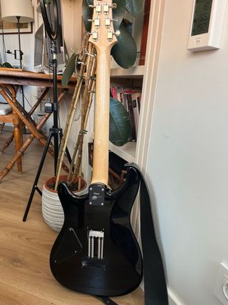 Paul Reed Smith Fiore Guitarra Eléctrica