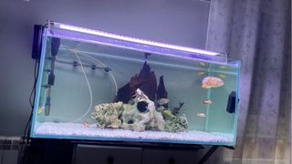Acuario 300L con todos los componentes