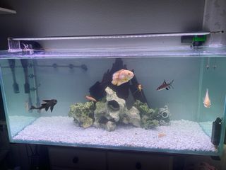 Acuario 300L con todos los componentes