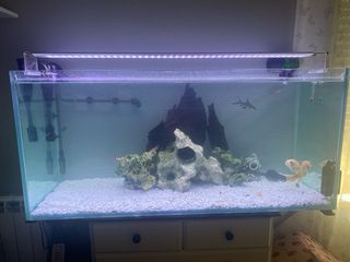 Acuario 300L con todos los componentes