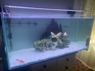 Acuario 300L con todos los componentes