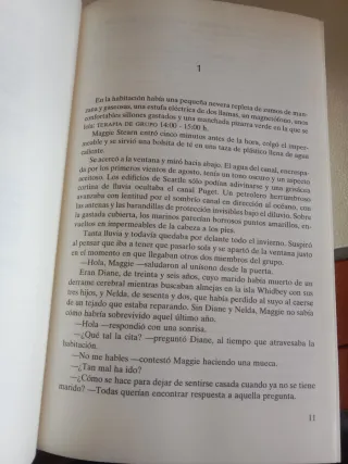 Amargo pero dulce, novela