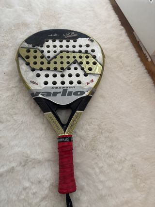 Pala Varlion Avant Reparada Ponle el precio