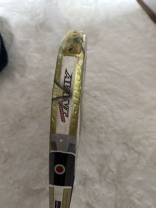 Pala Varlion Avant Reparada Ponle el precio