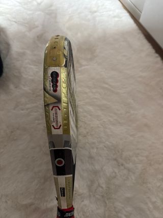 Pala Varlion Avant Reparada Ponle el precio