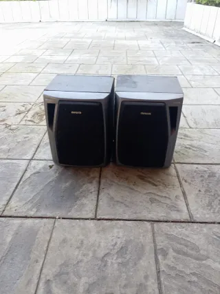 Altavoces Aiwa Negros y Grises