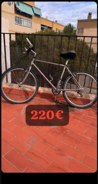 Bicicleta de montaña plateada