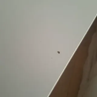 Mesa comedor extensible madera y metal