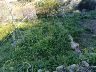 Servicio de limpieza.