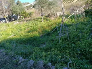 Servicio de limpieza.