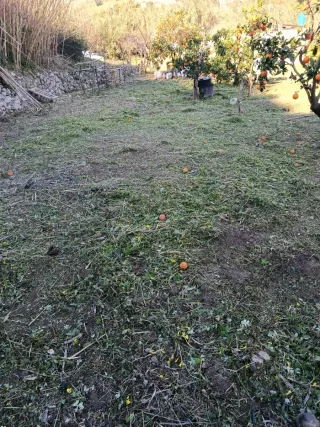 Servicio de limpieza.