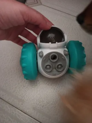 Juguete interactivo para perros