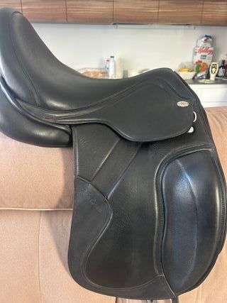 Silla Doma Jorge Canaves Celebration 17