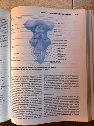 Anatomia Y Fisiologia (Spanish Edition)