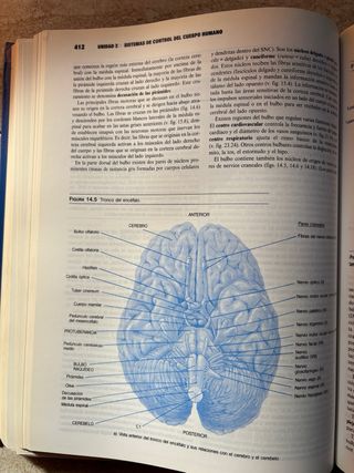 Anatomia Y Fisiologia (Spanish Edition)