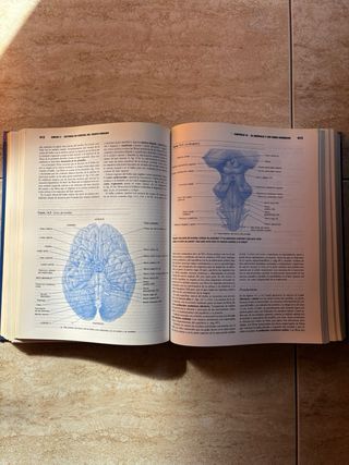 Anatomia Y Fisiologia (Spanish Edition)