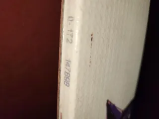 Esquís Head Doble Espátula 172cm. Sin fijaciones