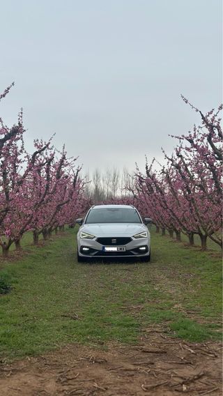 SEAT Leon FR 1.5 tsi 150cv