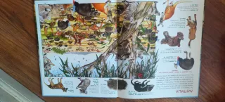 Busca los animales de la selva