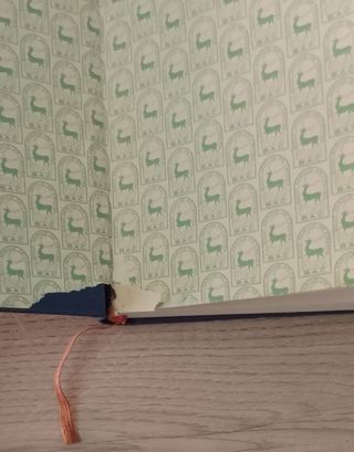 ANTIGUO LIBRO NOVUM TESTAMENTUM