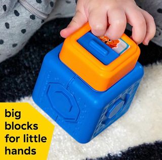 Baby Einstein - Bloques Magnéticos