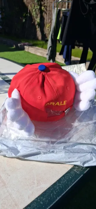 Gorra Arale con alas, talla única ajustable