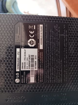 TV LG 19 pulgadas 22MA33D-PZ