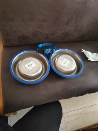 Comedero y collar para perro