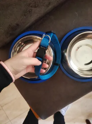 Comedero y collar para perro