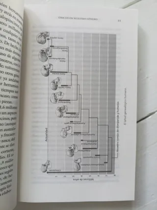 ¿De qué nos sirve ser tan listos?: Descubre cóm...