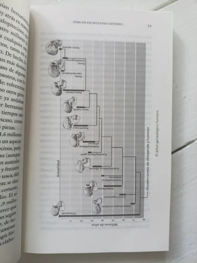 ¿De qué nos sirve ser tan listos?: Descubre cóm...