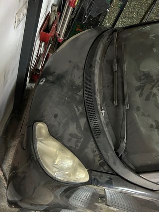 Paneles Smart Fortwo 451 (2008)