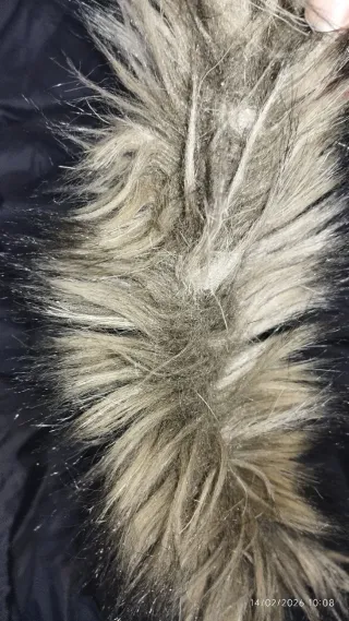 Cazadora ligera Inside Talla XL