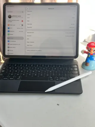 iPad Pro 11 4ª Gen 256GB Argento